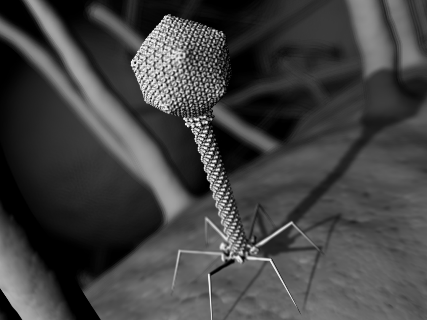 Image of phage on bacteria
